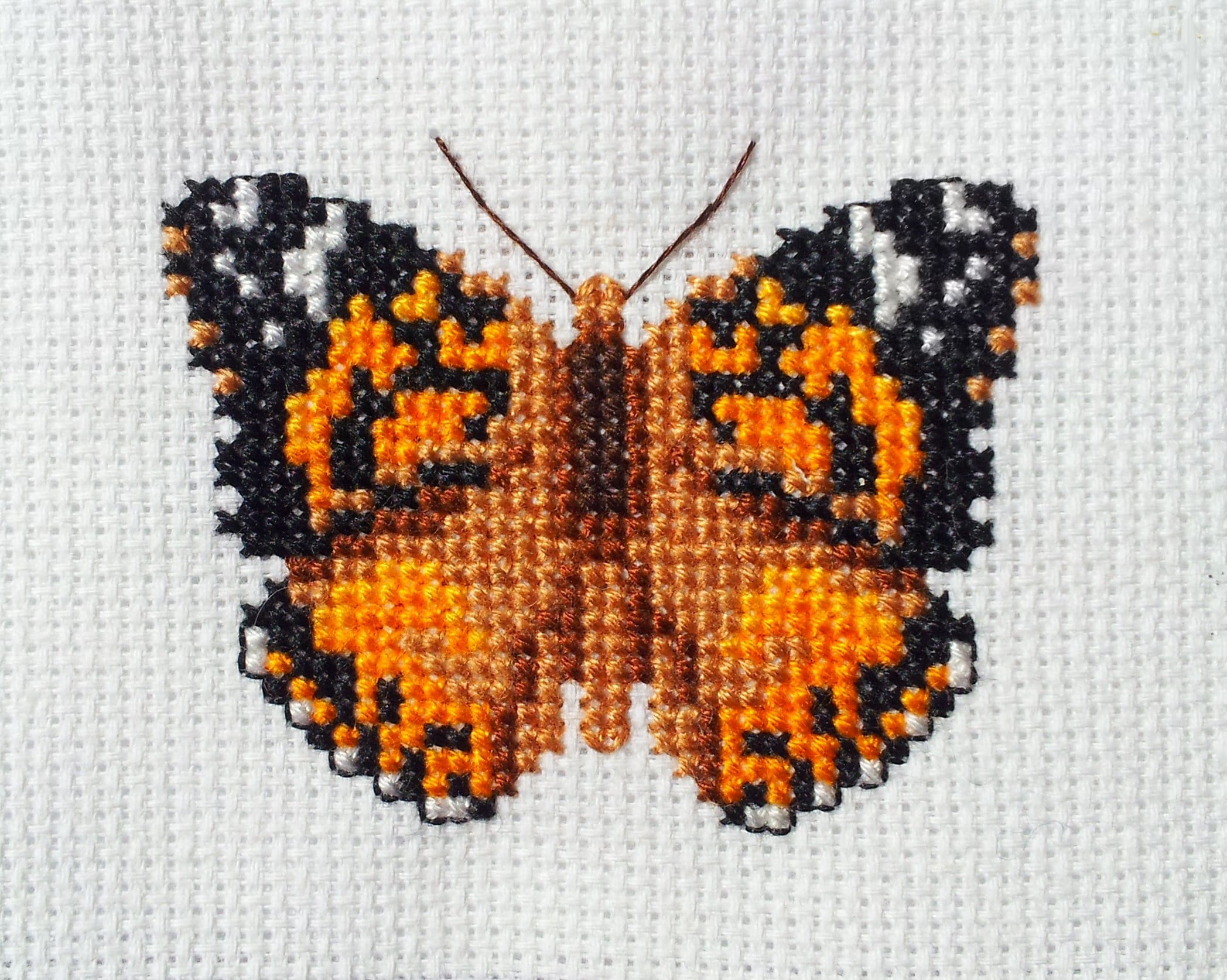 Kid Stitch - Checky Butterfly