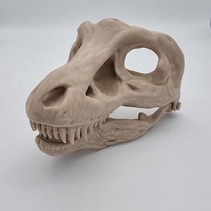 Könnte beinhalten: Beige Dinosaurierschädel-Replik mit detaillierter Knochenstruktur und Zähnen. Der Schädel hat Augenhöhlen und ein realistisches prähistorisches Design. Ein dekorativer Artikel.