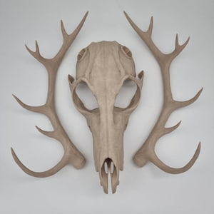 Bone White Wendigo Skull Mask with Antlers - Halloween - Fancy dress - Horror - Skeleton - Skull Mask