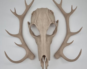 Bone White Wendigo Skull Mask with Antlers - Halloween - Fancy dress - Horror - Skeleton - Skull Mask