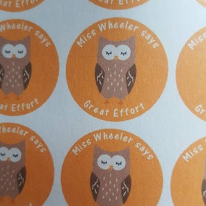 35pcs GREAT EFFORT Owl Personalised Teacher Reward Stickers, Teacher Gifts, Teacher Stationery, Reward Stickers, Stickers, Custom Stickers