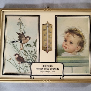 Vintage Richter&#39;s Frozen Food Lockers Thermometer