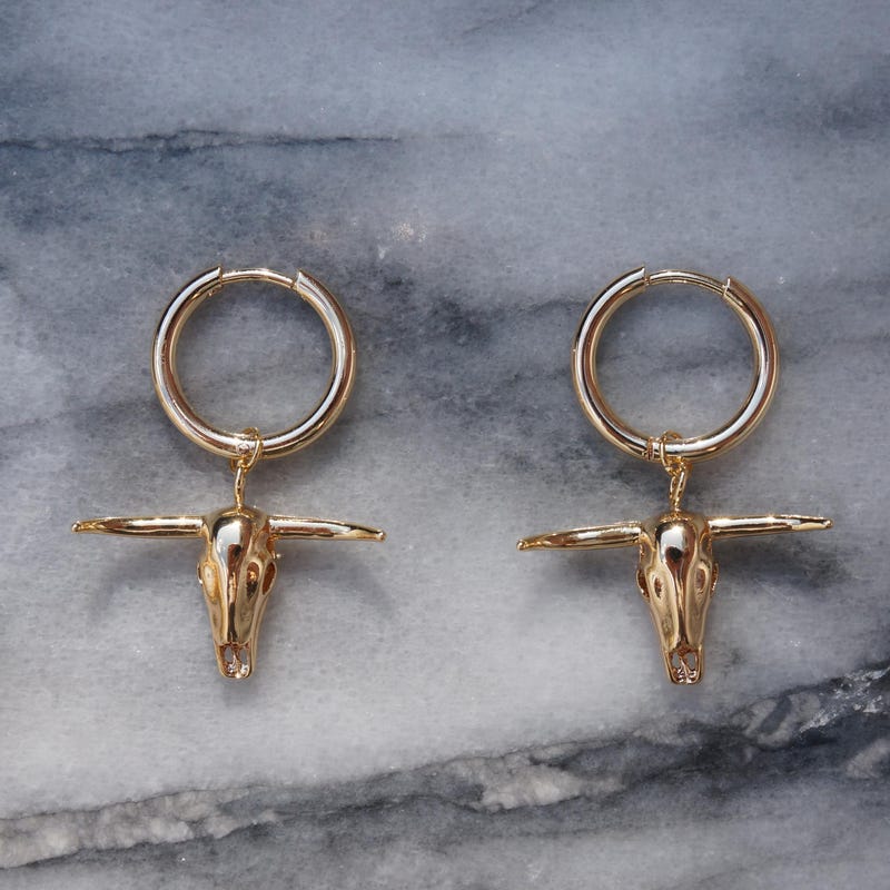 Bull Trail Earrings main image 0