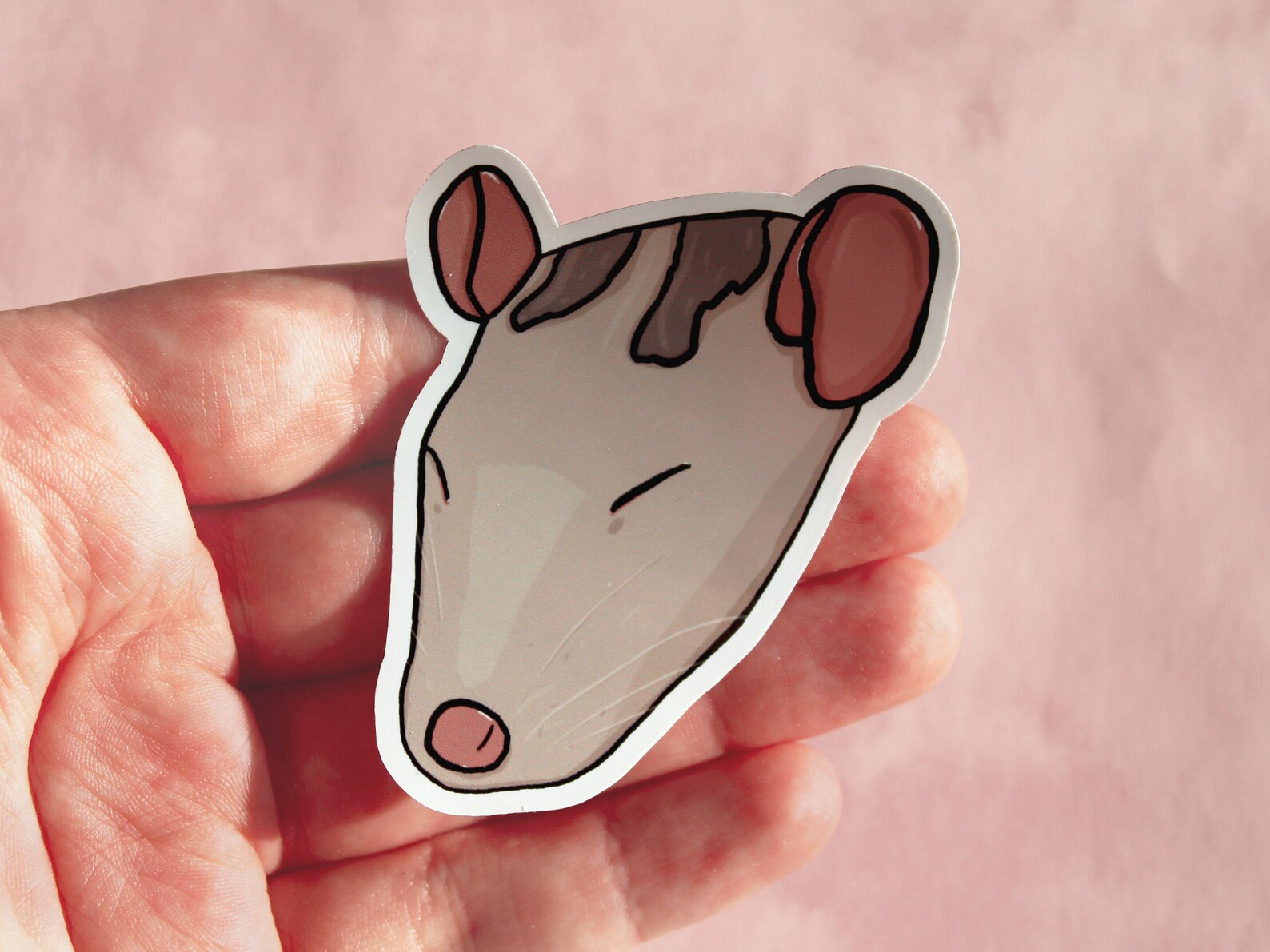 Cabezas de rata brillantes / pegatinas mate / Lindas pegatinas