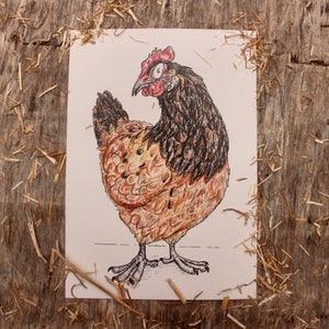 Vorwerk Hen Print | Chicken Breeds Art Print | 100% Recycled Paper | A4 Portrait Framable
