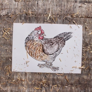 LIMITED EDITION | Dorking Hen Print | Chicken Breeds Art Print | 100% Recycled Paper | A4 Landscape Framable