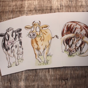 Breeds of Cattle | Set of Three Art Prints | 100% Recycled Paper | A4 Portrait Framable