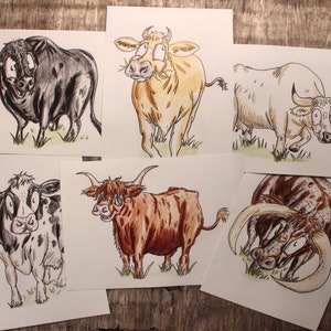 Six Breeds of Cattle | Set of Six Art Prints | 200gsm 100% Recycled Paper | A4 Framable