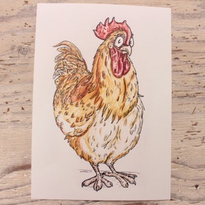 LIMITED EDITION | Buff Orpington Print | Chicken Breeds Art Print | 100% Recycled Paper | A4 Portrait Framable