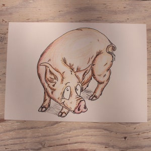 Welsh Pig Caricature | British Pig Breed Art Print | 100% Recycled Paper | A4 Landscape Framable
