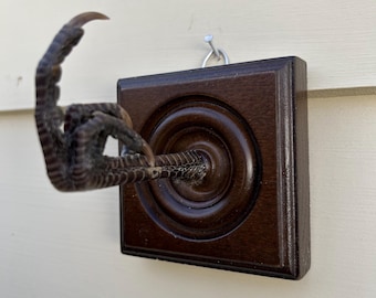 MIDDLE FINGER Pheasant Foot Wall Hanger Square Dark Finish (Real Pheasant Foot)
