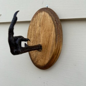 May include: A taxidermied bird foot, black in color, mounted on a round wooden plaque. The plaque is stained a medium brown and is attached to a white wall with a small nail. The bird foot is positioned to appear as if it is reaching out.