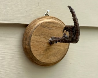MIDDLE FINGER PHEASANT Foot Round Wall Hanger (Real Pheasant Foot) Great white elephant Gift