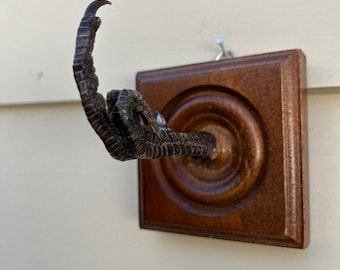 MIDDLE FINGER PHEASANT Foot Square /Finished Wall Hanger (Real Pheasant Foot)