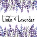 Avatar belonging to MyLinenandLavender
