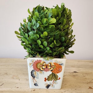 Peut inclure: Un petit buisson vert avec un feuillage luxuriant est planté dans un pot en céramique blanche avec un motif floral. Le pot a une forme carrée et présente un motif floral coloré avec des accents rouges, jaunes et orange.
