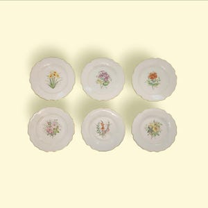 May include: Six white ceramic plates with scalloped edges and gold rims. Each plate features a different floral design in shades of yellow, pink, purple, and orange. The plates are arranged in two rows of three.