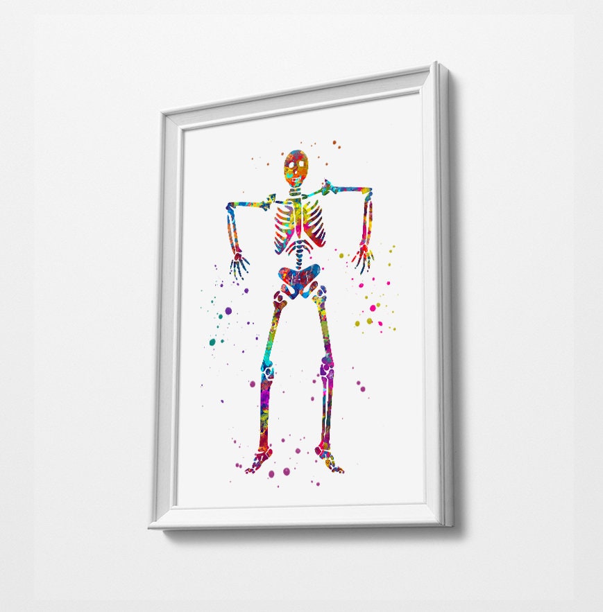 Human Skeleton Anatomy Watercolor Print Medical Art Science | Etsy