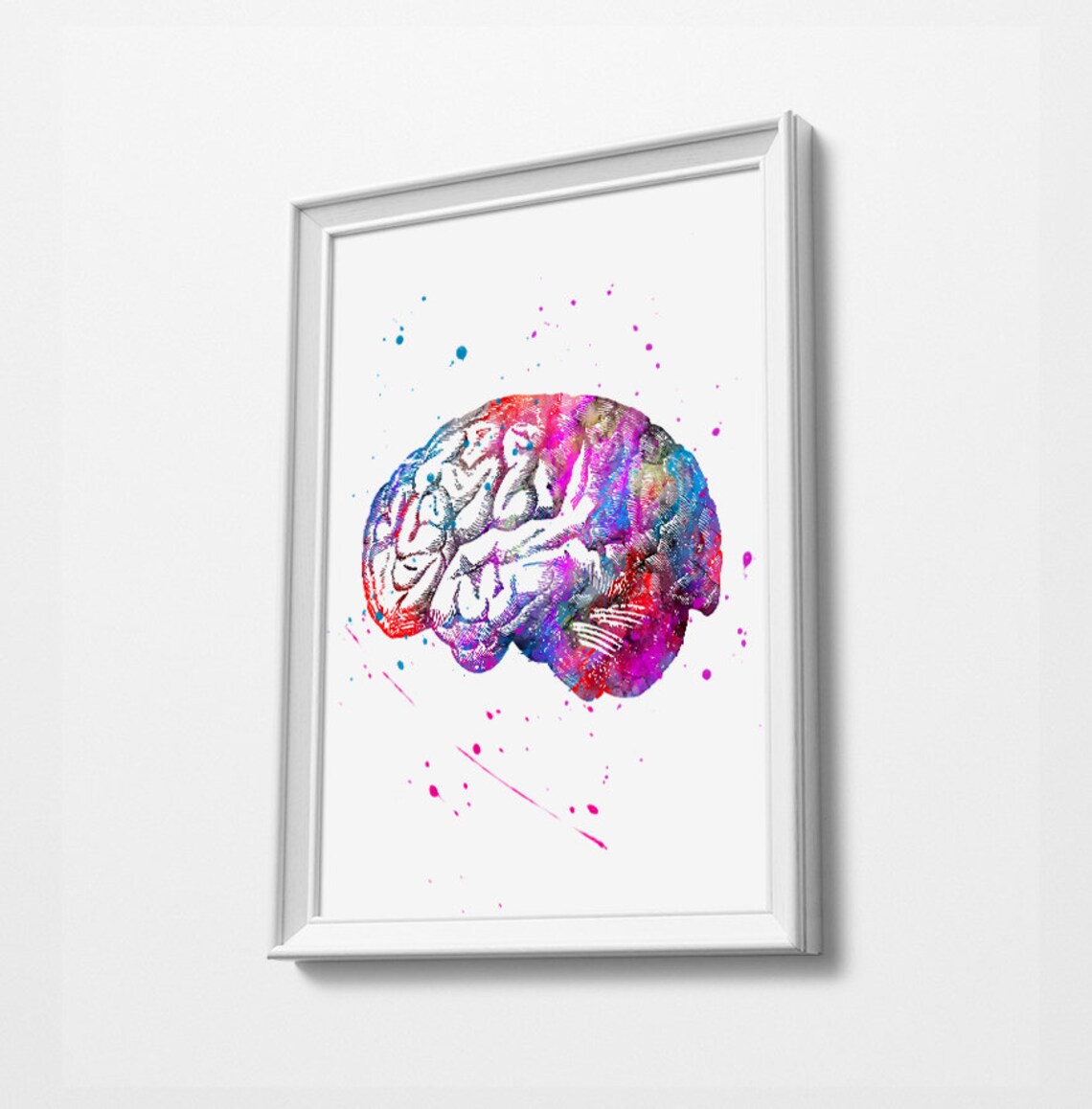 Human Brain Anatomy Watercolor Print Medical Art Science Art | Etsy UK