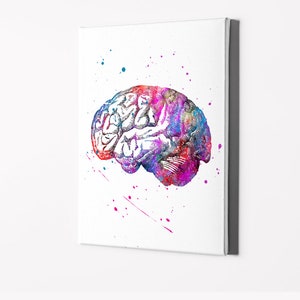 Human Brain Anatomy Watercolor Print Medical Art Science Art - Etsy UK