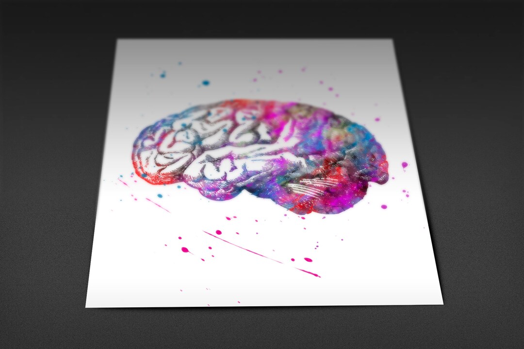 Human Brain Anatomy Watercolor Print Medical Art Science Art - Etsy UK