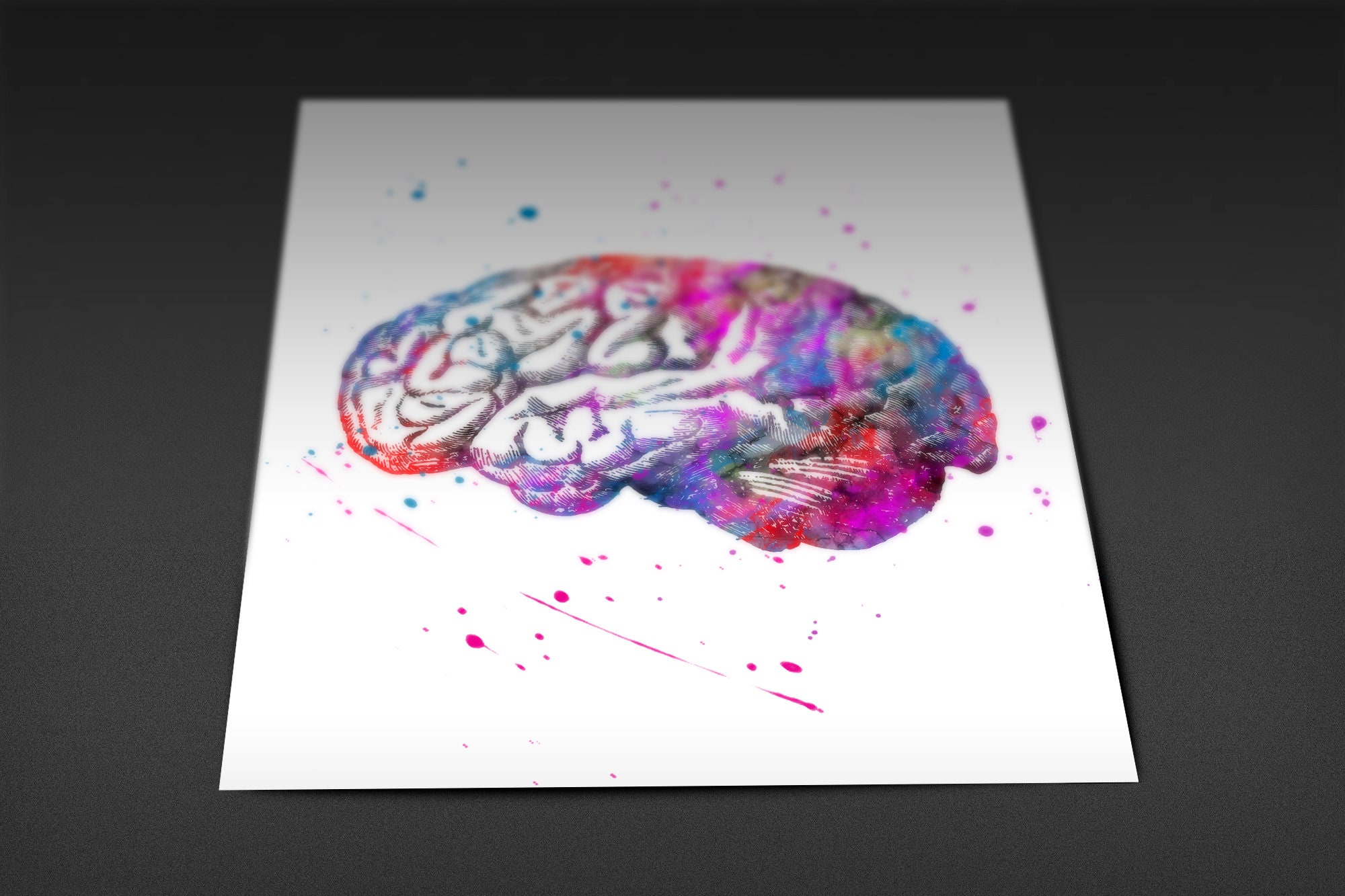 Human Brain Anatomy Watercolor Print Medical Art Science Art | Etsy UK