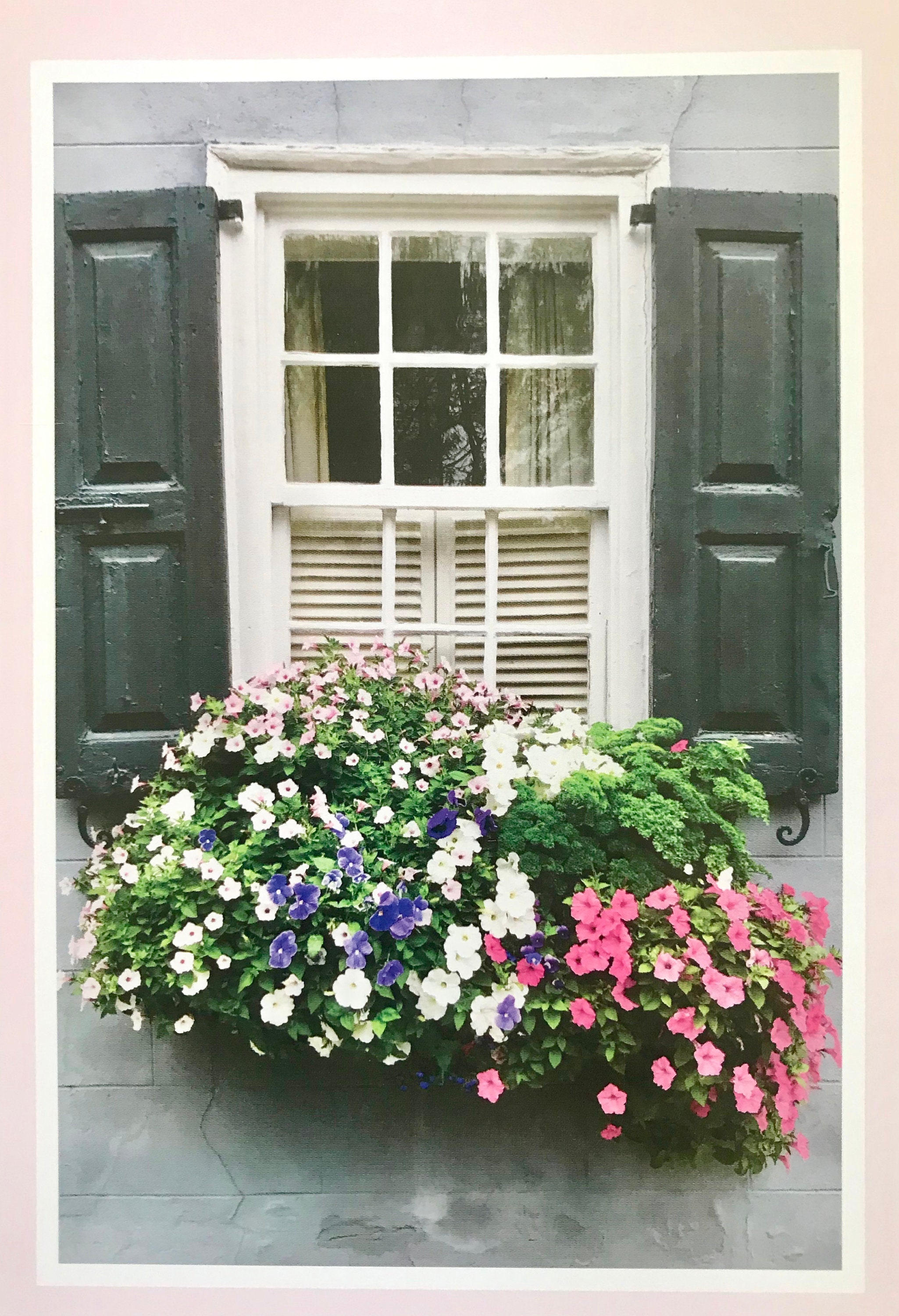 CHARLESTON WINDOW BOXES . Charleston Poster . Historic - Etsy
