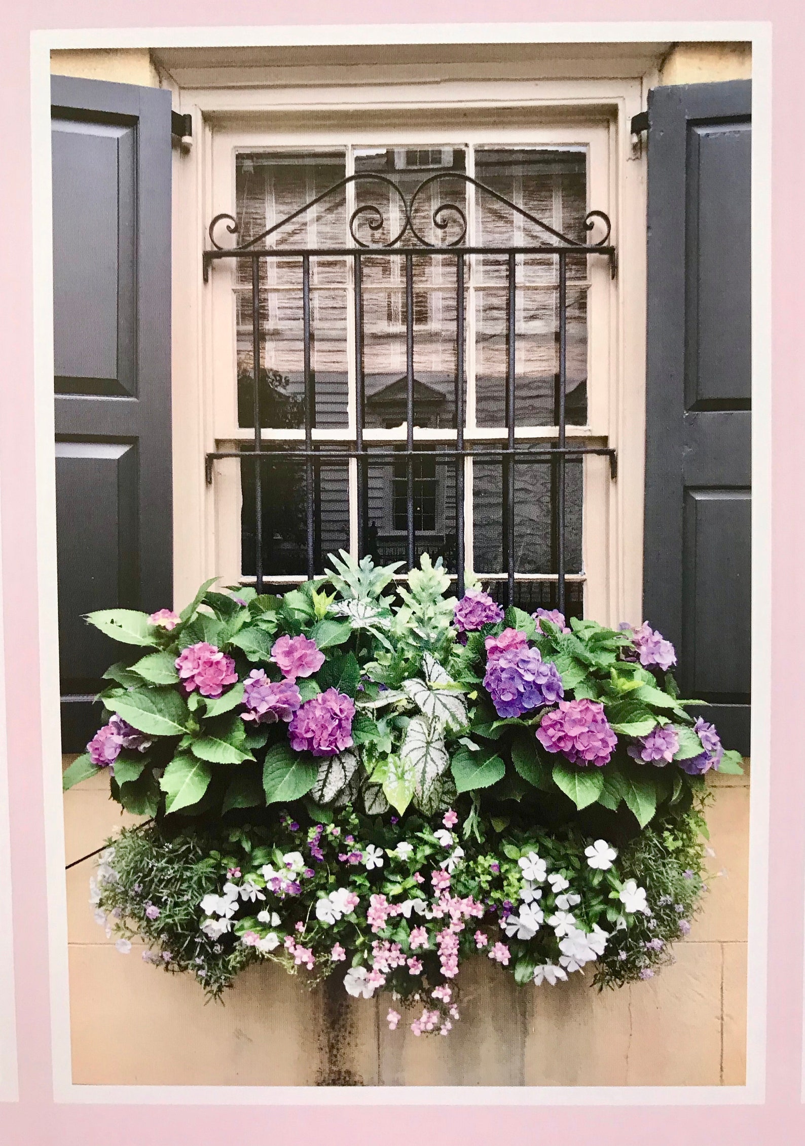 CHARLESTON WINDOW BOXES . Charleston Poster . Historic Etsy