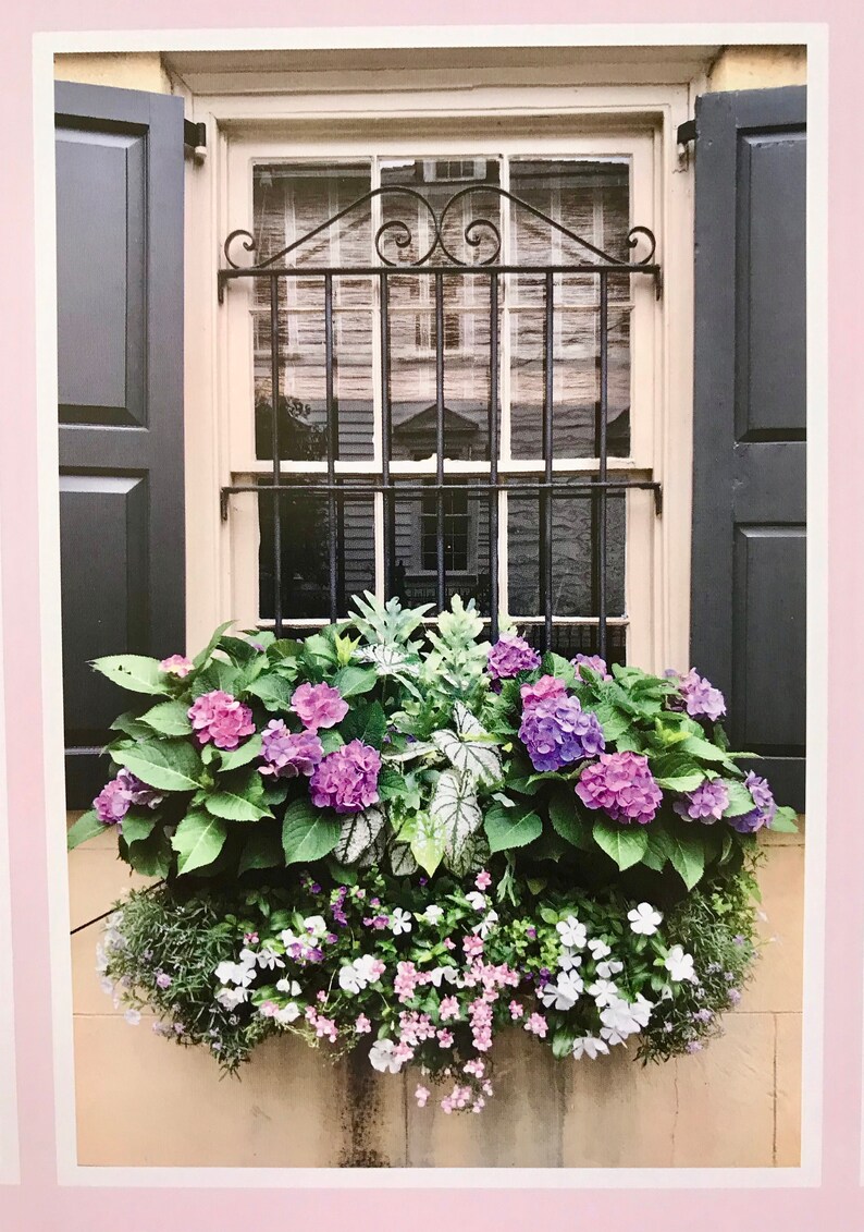 CHARLESTON WINDOW BOXES . Charleston Poster . Historic Etsy