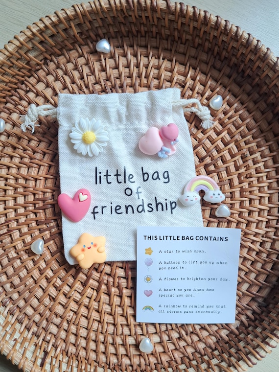 Little Bag of Friendship, Sentimental Gift of Reminders, Comfort & Support Gift for Friend,Thinking of You Care Package,  Encouragement gift
