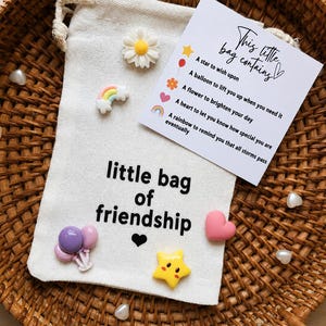 May include: A cream-colored drawstring pouch with the text 'little bag of friendship' and a small black heart. Attached are miniature charms: a white daisy, a rainbow, purple balloons, a pink heart, and a yellow star, plus a card listing the items.