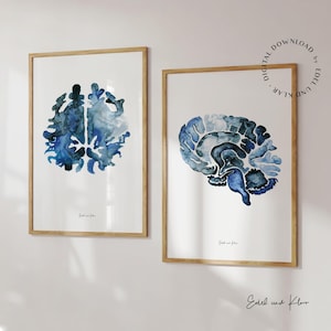 May include: Two framed watercolor paintings of a human brain in shades of blue. The brain in the left frame is viewed from above, while the brain in the right frame is viewed from the side.