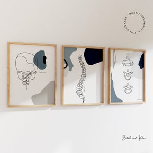 Coffret Anatomie Bleu Gris | Vertèbres, Anatomie de la colonne vertébrale, Impression d'art chiropratique, Cadeau pour massothérapeute, Décoration pour médecin, Télécharger