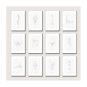 12 Human Skeleton Bundle | Medical Wall Art Anatomy, Bone Sketch Poster ...