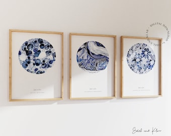 Histologie en pathologie kunstset aquarel | Aquarel, darmklieren, darmanatomie, Colon Art Print, huidhistologie, dokterscadeau