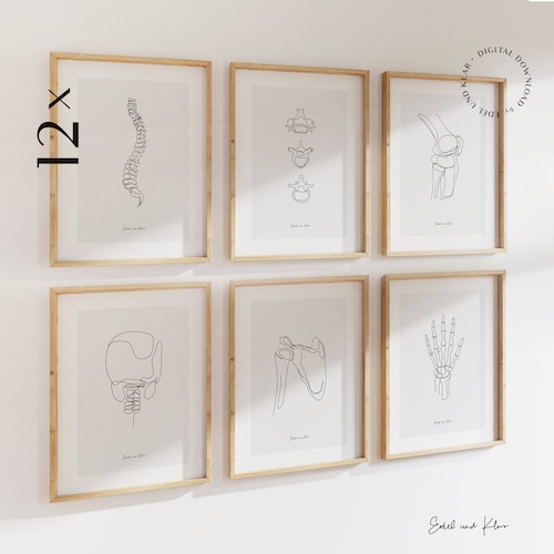 12 Human Skeleton Bundle | Medical Wall Art Anatomy, Bone Sketch Poster Vertebrae, Chiropractic Art Print, Massage Therapist, Download