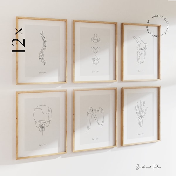 Menschliches Skelett Zeichnung Set I Medizinische Wandkunst, Anatomie Kunst Druck, Line Art, Chiropraktiker Geschenk, Download, Knochen