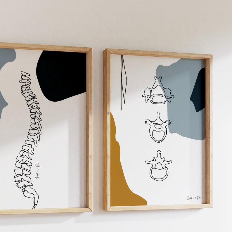 May include: Two framed prints with black and white line drawings of the human spine. The print on the left shows the entire spine, while the print on the right shows three vertebrae. Both prints have a white background with abstract shapes in blue, gray, and yellow.