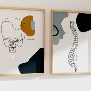 May include: Two framed illustrations of the human spine, one with the skull and neck, the other with the full spine. Both illustrations are in black and white line art with abstract shapes in blue, green, and brown.