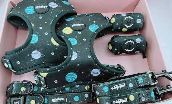 Dog Harness Set – No Pull Adjustable Harness, Matching Leash & Collar, Cute Puppy Walking Set - MYLOVERSE SPACE BUNDLE