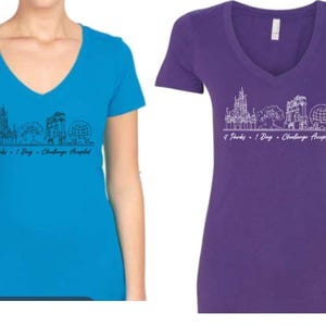 4 Park 1 Day challenge Accepted Fitted V Neck Shirt/Disney World Park Hop Shirt/Magic Kingdom/Epcot/Tree of Life/Hollywood Studios