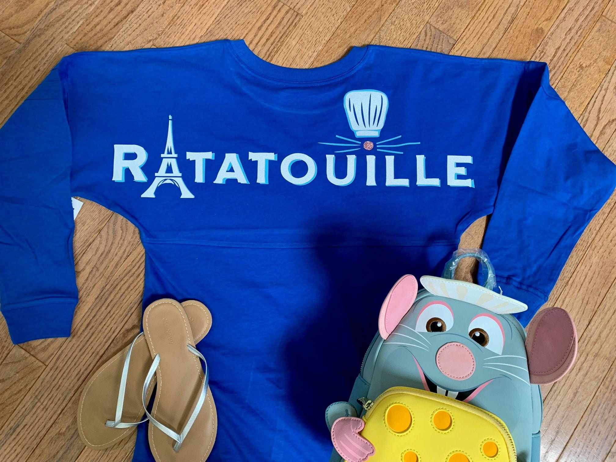Remy Ratatouille Disney Tshirt Disney Sweatshirt Embroidery Disney World 