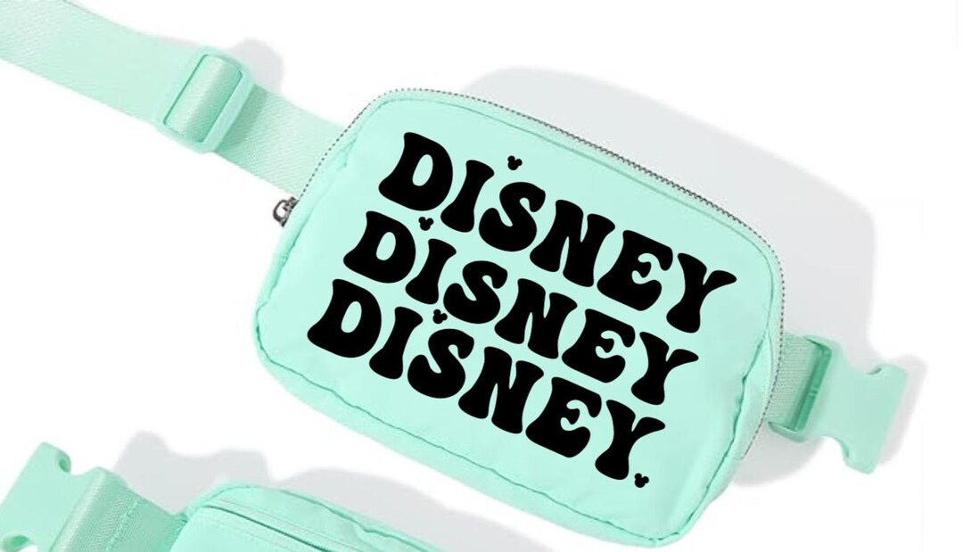 disney coach belt bag