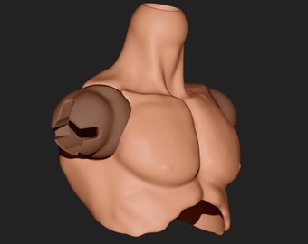 May include: A 3D model of a sculpted human torso, showing the chest and shoulders. The model is made of a light brown material and has a smooth, realistic texture.