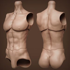 Male Torso Doll - Etsy
