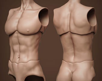 BJD Doll Torso Model – male Ball Jointed Doll Body for Resin 3D Printing