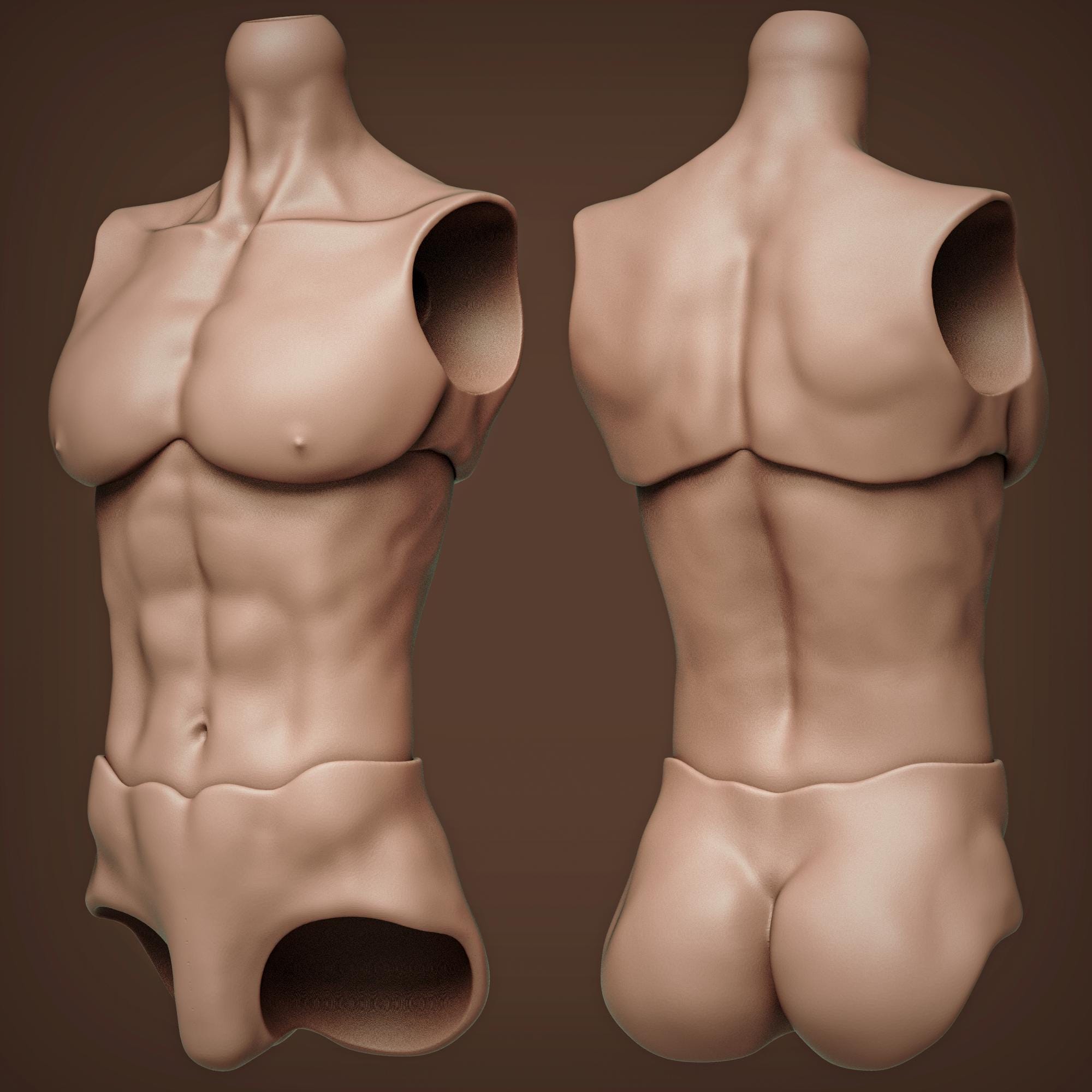 Male Torso Doll - Etsy