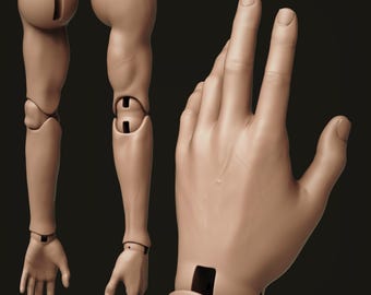 BJD Doll Arms 3D Model – Realistic Ball Jointed Arms for Resin 3D Printing