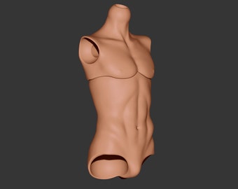 May include: A nude-colored, sculpted, plastic doll torso with a defined chest and abdomen.