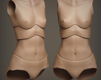 BJD Doll Torso Model – Women Ball Jointed Doll Body for Resin 3D Printing